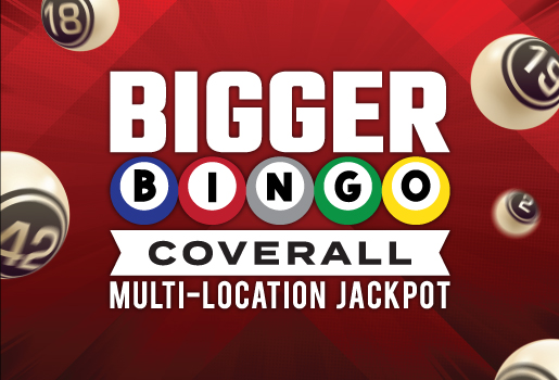 BIGGER BINGO COVERALL